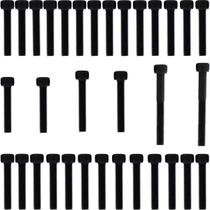 Kit parafusos aço liga tampa motor lateral esquerda+direita CBR1100XX Super Blackbird 1997 a 2004 CBR1100 Honda Kit parafusos aço liga tampa motor lateral esquerda+direita CBR1100XX Super Blackbird 1997 a 2004 CBR1100 Honda