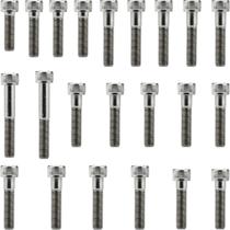 Kit parafusos inox tampa motor lateral esquerda+direita CG125 Titan ES/KSE 2000 a 2004 Honda Kit parafusos inox tampa motor lateral esquerda+direita CG125 Titan ES/KSE 2000 a 2004 Honda