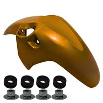 Kit Paralama Dianteiro Honda Cb 300 Cb300 2009 A 2015 Borracha Fixação Coxin Ilho Ferro Cores
