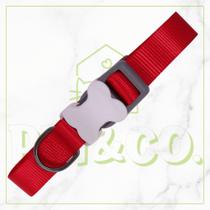 Kit Passeio Premium com Coleira e Guia para Cachorro e Gato e Guia Retrátil 5 Metros