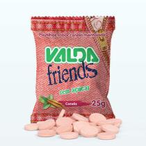 Kit Pastilha Valda Friends Canela Mentolada com 10 Saches de 25g