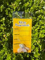 Kit Pedras de Bolsa