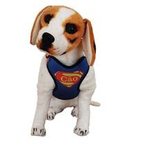 Kit Peitoral Air e Guia Pet P Cachorro Herói Personagens Kit Peitoral Air e Guia Pet P Cachorro Herói Personagens