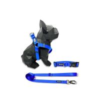 Kit Peitoral Americano para cachorros com Coleira e Guia Azul Royal