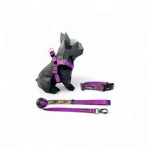 Kit Peitoral Americano para cachorros com Coleira e Guia Lilás