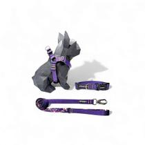 Kit Peitoral Americano para cachorros com Coleira e Guia Roxo