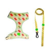 Kit Peitoral Estampado + Guia Deluxe Brand Poliéster Tamanho P Para Cachorros Cães Gatos Porte Raças Pequenas Chalesco