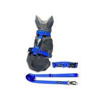 Kit Peitoral H antipuxão para cachorros com Coleira e Guia Azul Royal