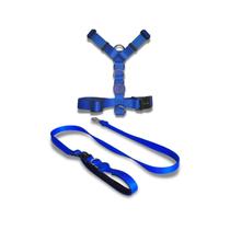 Kit Peitoral H com antipuxão Azul + Guia Mãos Livres Azul