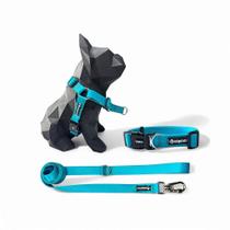 Kit Peitoral Y Antipuxão para cachorros com Coleira e Guia Tiffany