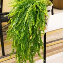 Kit Pendente De Samambaia Toque Real Folhagem Jardim