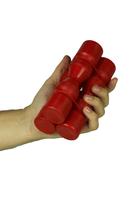 Kit Percussão 2 Ganzá Shaker Jhamma Chocalho Kit Percussão 2 Ganzá Shaker Jhamma Chocalho