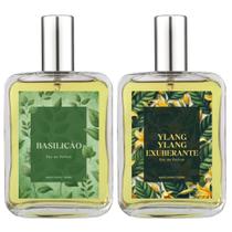 Kit Perfume Masc. Basilicão E Ylang Ylang Exuberante 100Ml