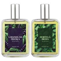 Kit Perfume Masc. Lavanda E Hortelã Brava Refrescante 100Ml
