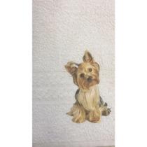 Kit Pet - Cama e Banho - 3 peças - Yorkshire- Parapetstore Kit Pet - Cama e Banho - 3 peças - Yorkshire- Parapetstore