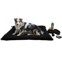 Kit Pet Grande Cama Futon Educador Xixi Sim/Não Cães 500ml