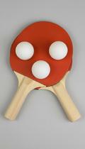 Kit Ping Pong 2 Raquetes + 3 Bolas Kit Ping Pong 2 Raquetes + 3 Bolas