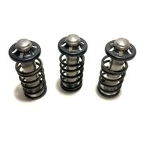 Kit Pistão com Mola para Lavajato Michelin MPX100P