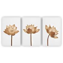 Kit Placas Quadros Sala 3 Pçs 20X30 Floral Rustica