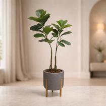 Kit Planta Artificial Ficus Vaso Decorativo Pes De Madeira