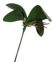 Kit Plantas artificiais 5 hastes de folhas de orquídeas - Decora Flores Artificiais