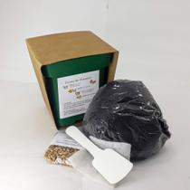 kit plantio clorofila sementes de trigo 5 UNIDADES