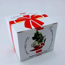 kit plantio Pimenta Malagueta