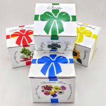 Kit plantio Presente Eco Sortido 4 UNIDADES Kit plantio Presente Eco Sortido 4 UNIDADES