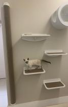 Kit Playground Arranhador Gatos 4 Prateleiras Mdf Branco