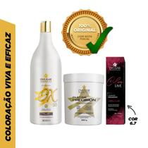 Kit Pó Descolorante De 250G + Ox De 30 Vol+ Coloração 6.7
