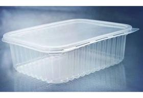 Kit pote e tampa prafesta retangular 1000 ml com 24 unidades