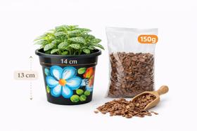 Kit Presente Artesanal Vaso Pintado à Mão + Casca de Pinus Kit Presente Artesanal Vaso Pintado à Mão + Casca de Pinus
