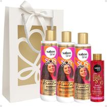 Kit Presente Salon Line De Repente Pronta: Shampoo, Condicionador e Acidificante + Mimo Exclusivo