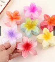 KIT Presilha Piranha Flor De Cabelo em Acrilico Prendedor Blogueira Verão Praiana CORES VARIADAS
