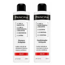 Kit Principia Shampoo Antiqueda AQ-01 250ml+Condicionador Antiqueda AQ-01 250ml