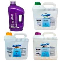 Kit Produtos Para Tratamento Água De Piscina Verde 5L