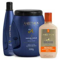 Kit Profissional Linha A Aneethun Cuidado Completo Cabelos