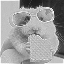 Kit protetor de cinto + capa de volante type'r amarelo