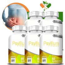 Kit Psyllium 5 Potes - Fibra Solúvel - Desintoxica