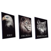 Kit Quadro Arquétipos Vinil Com Vidro