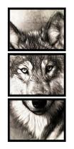 kit quadro decorativo 3 peças lobo preto e branco selvagem felino decoração