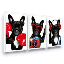 Kit Quadro Decorativo Bulldog Francês Moldura Sala Kit Quadro Decorativo Bulldog Francês Moldura Sala