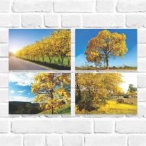 Kit Quadro Decorativo Ipês