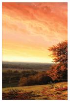 Kit Quadro Vacas e Carneiros