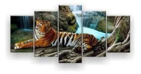 Kit Quadros Decoração 5 pçs tigre felino animais"