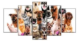 Kit Quadros Decoração Cães E Gatos Pets" Kit Quadros Decoração Cães E Gatos Pets"