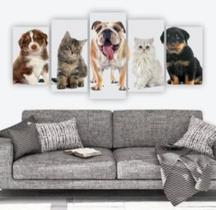 Kit Quadros Decoração Gatos E Cachorros Veterinário"