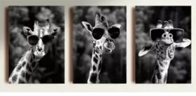 kit quadros decorativos 3 peças girafa de oculos"