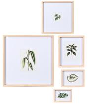 Kit quadros decorativos em mdf - 5pcs tema botanico