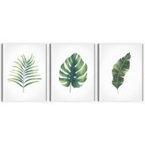 Kit Quadros Decorativos Folhas Da Vida Decor Botânico